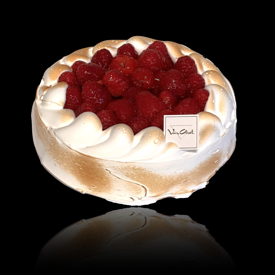 Art-339-neige.1.png