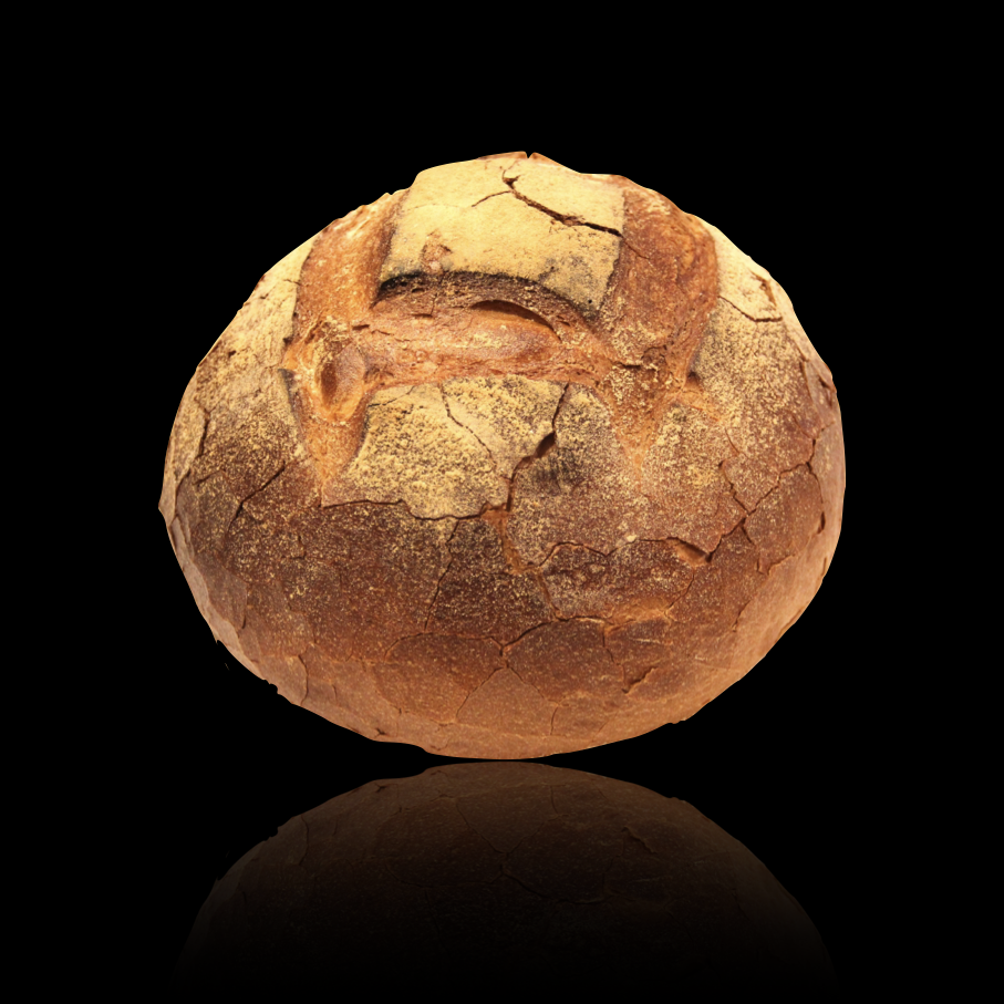 Art-88-campagnard.1.png
